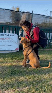 Gif metodo t-touch applicato ad un cane
